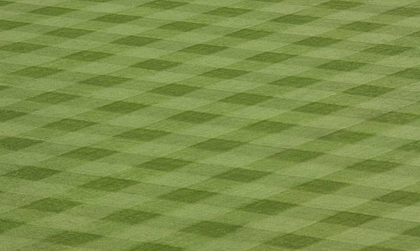 professionally cut grass at a stadium stock photo