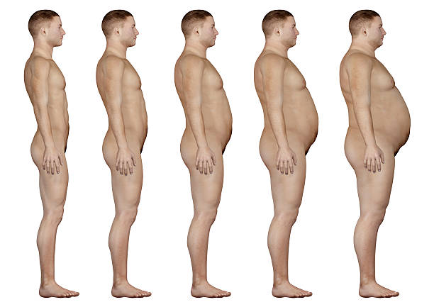 Human body for study, from slim man to the overweight "3D model of slim man, changing to a overweight man. Great to be used in medicine works and health. Isolated on a white background." fat guy no shirt stock pictures, royalty-free photos & images