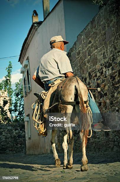 Photo libre de droit de Vieil Homme Sur Un Âne banque d'images et plus d'images libres de droit de Adulte - Adulte, Bleu, Chapeau