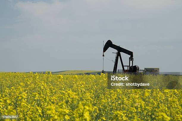 Pumpjack W Canola Pole - zdjęcia stockowe i więcej obrazów Bez ludzi - Bez ludzi, Biznes, Canola