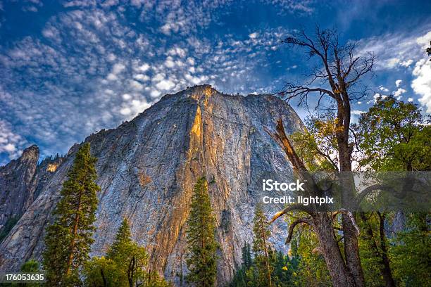 El Capitan - zdjęcia stockowe i więcej obrazów El Capitan - Sierra Nevada - Stan Kalifornia - El Capitan - Sierra Nevada - Stan Kalifornia, Park Narodowy Yosemite, Bez ludzi