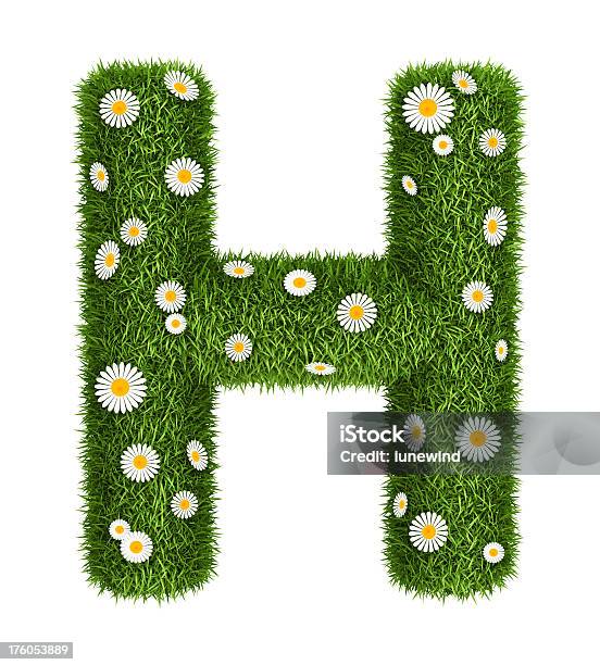 천연 잔디 알파벳 H 0명에 대한 스톡 사진 및 기타 이미지 - 0명, 3차원 형태, 꽃-식물
