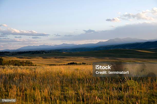 Photo libre de droit de Mont Meadow banque d'images et plus d'images libres de droit de Colorado - Colorado, Plaine - Caractéristiques de la terre, Fond