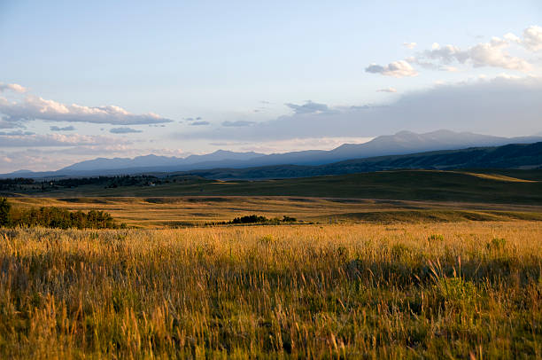 istock Rain clouds on mountain in background of a golden meadow 176054132