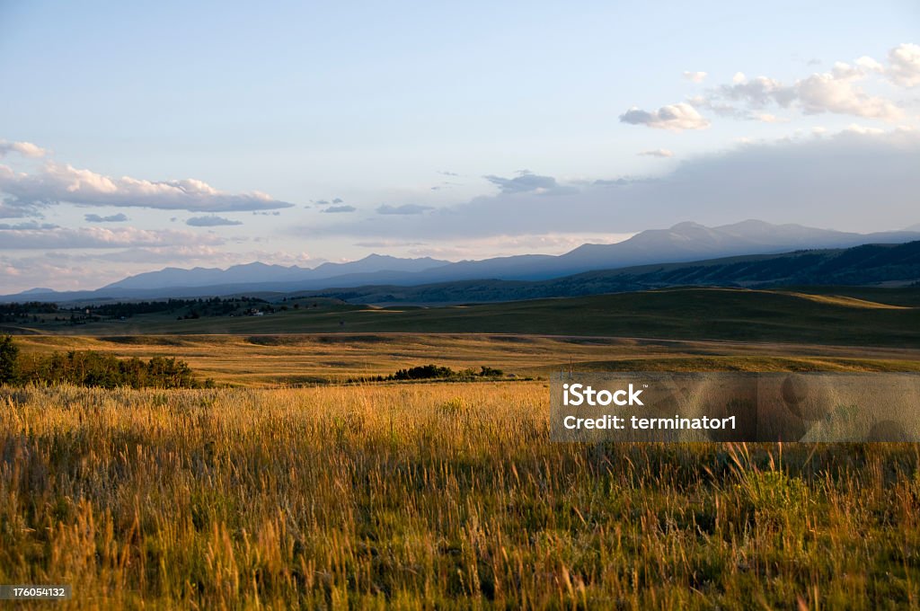 Montanha Meadow - Foto de stock de Colorado royalty-free