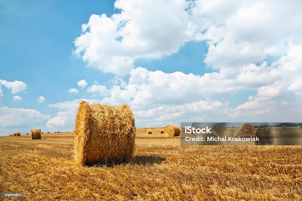Infinitas campo de agregado de paja - Foto de stock de Agricultura libre de derechos