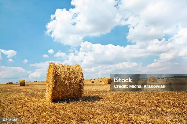 Infinitas Campo De Agregado De Paja Foto de stock y más banco de imágenes de Agricultura - Agricultura, Aire libre, Ajardinado