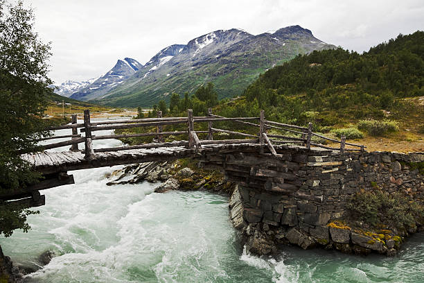 istock Summer in the Norwegian mountains. 176054873