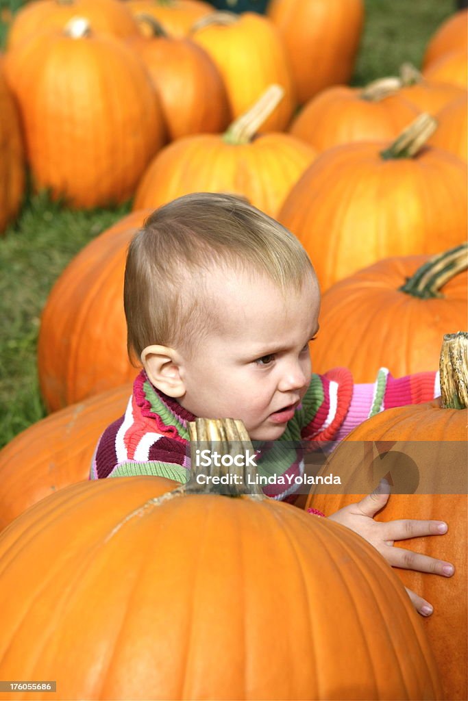 Niño y Pumpkins - Foto de stock de 2-3 años libre de derechos