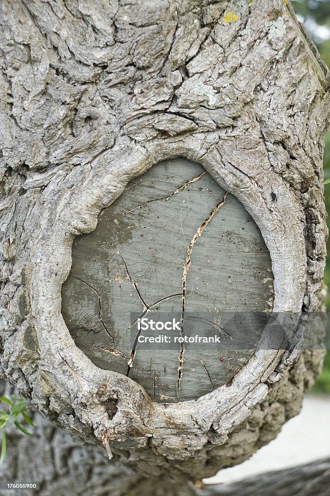 Knothole - Royalty-free Casca de árvore Foto de stock