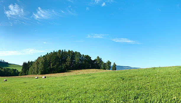 istock Panoramic spring landscape 24MPix XXXL size - meadow, blue sky 176056370