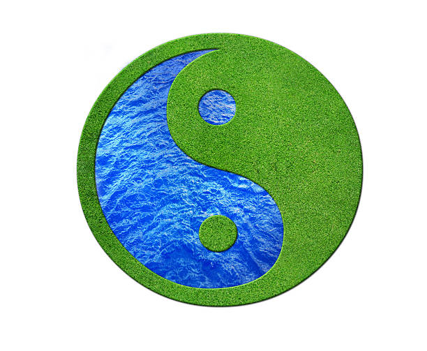 istock Ying Yang 2 Elements in balance, water and gras 176056510