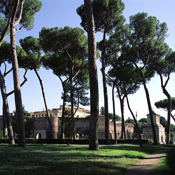istock Pines in Rome, Viale Dei Cavalli Marini, Italy 176056519