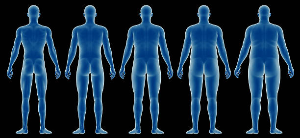 corpo humano por estudo, do homem elegante ao excesso de peso - rear view human arm naked men imagens e fotografias de stock