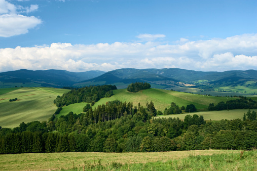 Highlands scenery: hills, forest, blue sky