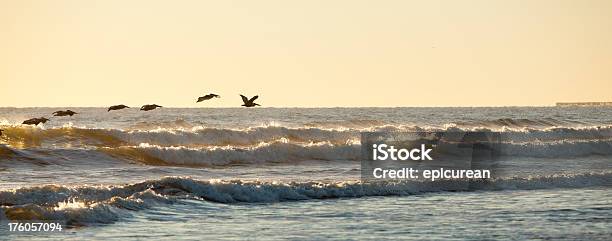 Nascer Do Sol Sobre A Praia - Fotografias de stock e mais imagens de Nascer do sol - Nascer do sol, Mar, Amanhecer