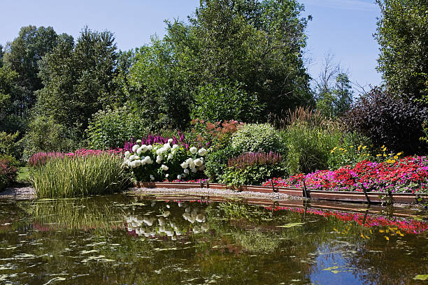 istock Backyard Landscaped Garden Pond 176057401