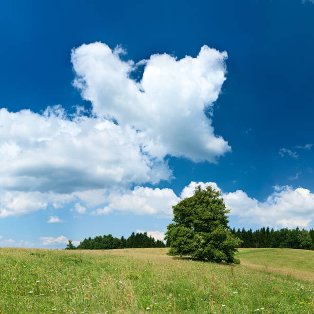 istock Panoramic spring landscape 61MPix XXXXL size - highlands, blue sky 176057440