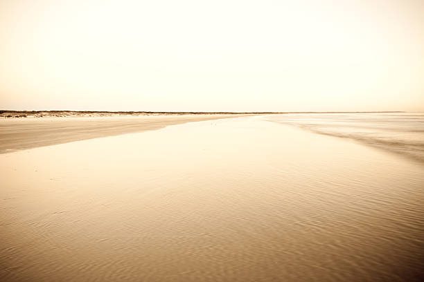 nascer do sol na praia - beach cumberland island environment tranquil scene - fotografias e filmes do acervo