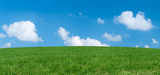 istock Panoramic spring landscape 56MPix XXXXL size - meadow, blue sky 176057550