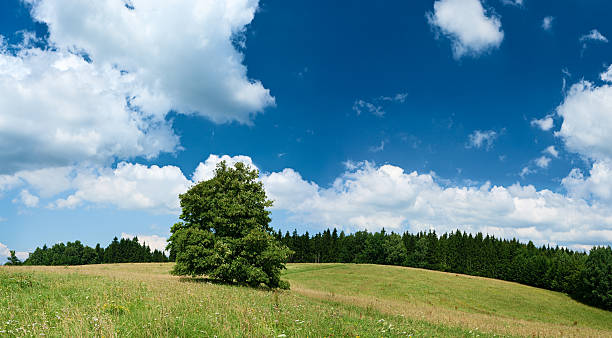 istock Panoramic spring landscape 48MPix XXXXL size - highlands, blue sky 176057661