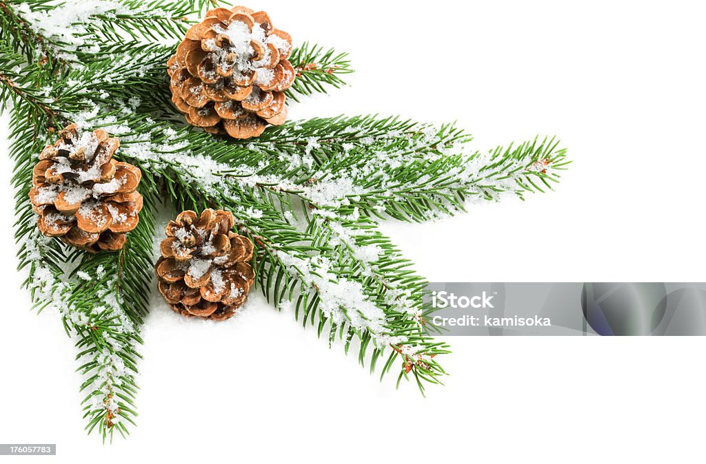 Decoração de Natal com Árvore de abeto Pinho Cones e - Royalty-free Neve Foto de stock
