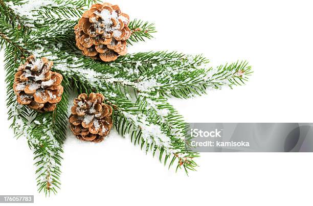 Decoração De Natal Com Árvore De Abeto Pinho Cones E - Fotografias de stock e mais imagens de Neve