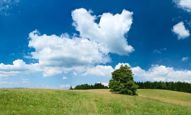 istock Panoramic spring landscape 88MPix XXXXL size - highlands, blue sky 176058215