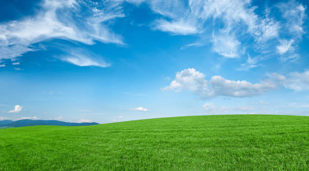 istock Panoramic spring landscape 52MPix XXXXL size - meadow, blue sky 176058649