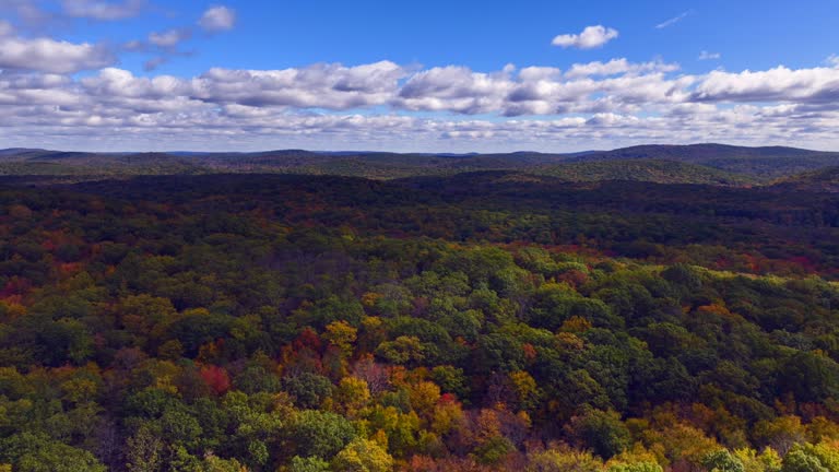 An aerial view of the mountains in Putnam County, NY on a beautiful day. The leaves of the trees are changing for the autumn season. The camera hover and slowly pan right high over the colorful trees.