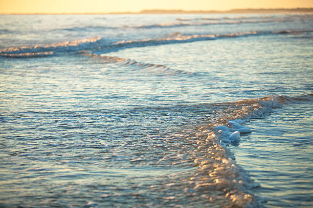 nascer do sol na praia - beach cumberland island environment tranquil scene - fotografias e filmes do acervo