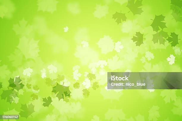 Boken 녹색 단풍 잎 0명에 대한 스톡 사진 및 기타 이미지 - 0명, 계절, 노랑