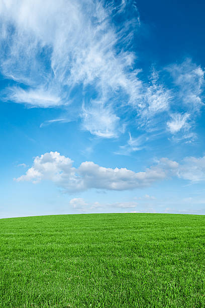 istock Panoramic spring landscape 35MPix XXXXL size - meadow, blue sky 176060155