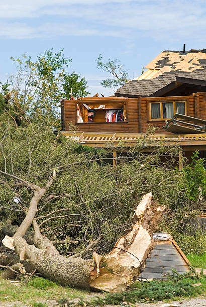 istock Tornado aftermath & destruction forces of nature - VIII 176060359