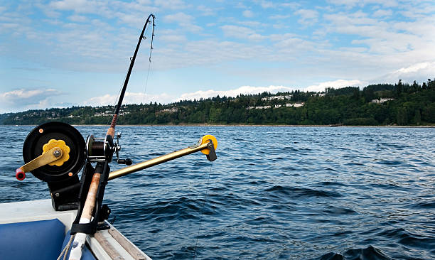 Fishing Pole on Downrigger stock photo