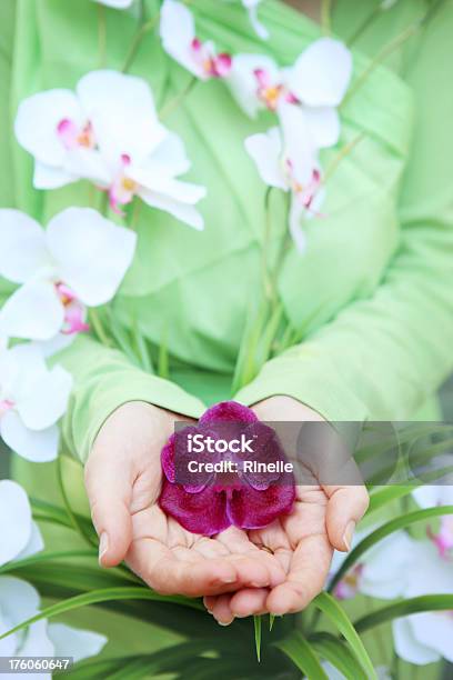 Segurando Uma Flor Na Sua Mão - Fotografias de stock e mais imagens de Beleza - Beleza, Beleza natural, Cabeça de Flor