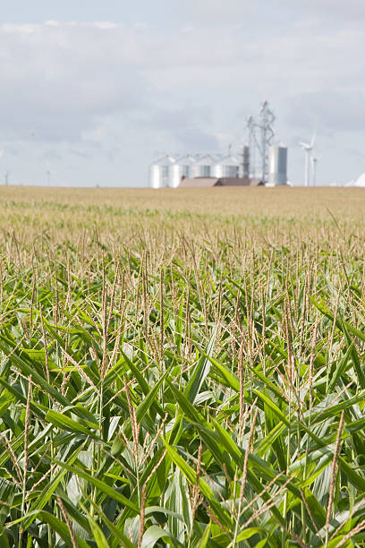 istock iowa agriculture 176060675