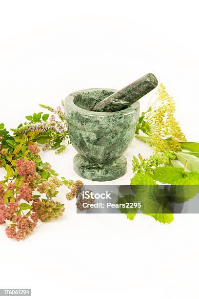 Herb Serie - Fotografie stock e altre immagini di Aneto - Aneto, Basilico, Bellezza