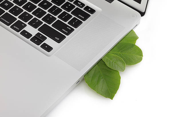 istock Green technology laptop and leaf concept isolated on white 176061399