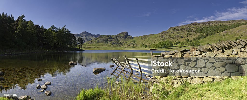 Tranquil mountain tarn traditional dry stone wall Lake District UK "Traditional dry stone walls, green hills and pine forest overlooking the calm blue waters of a high country lake and the rocky peaks of the Langdale Pikes, deep in the beautiful English Lake District National Park, Cumbria, UK. ProPhoto RGB profile for maximum color fidelity and gamut." Blea Tarn Stock Photo