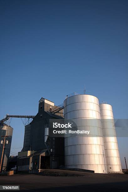 Grano Silos En Coolee Ciudad De Washington Foto de stock y más banco de imágenes de Acero - Acero, Acero inoxidable, Agricultura