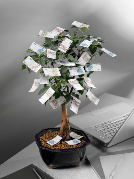 istock Euro Money Tree in a Office 176061580