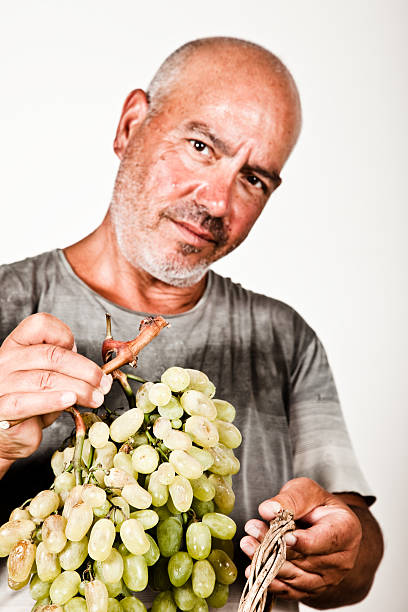 istock Man holding a bunch of grapes 176061598