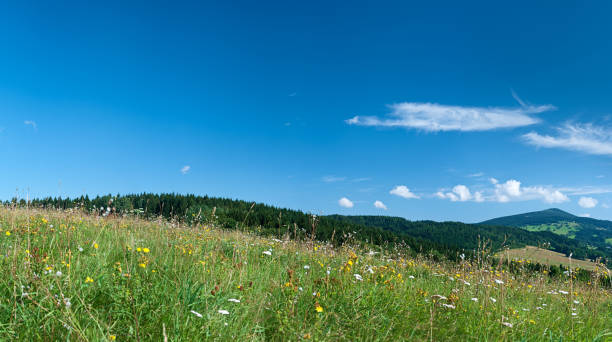 istock Panoramic spring landscape 79MPix XXXXL size - meadow, blue sky 176061801