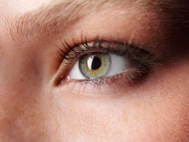 istock Human Eye with Focus on the Pupil and Iris 176062314