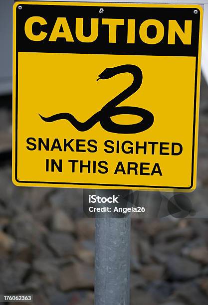 Serpiente Señal De Advertencia Foto de stock y más banco de imágenes de Amarillo - Color - Amarillo - Color, Animal, Australia