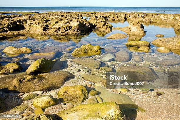 Rock Pool Stockfoto und mehr Bilder von Abgeschiedenheit - Abgeschiedenheit, Algarve, Alge