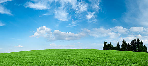 istock Panoramic spring landscape 40MPix XXXXL size - meadow, blue sky 176062831