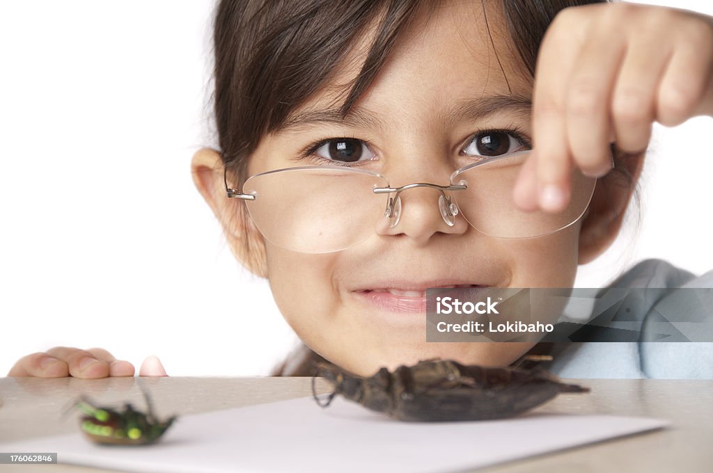 Маленькая девочка большой жук или Entomologist в решений - Стоковые фото Белый роялти-фри