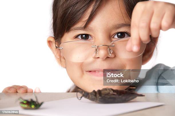 Маленькая Девочка Большой Жук Или Entomologist В Решений — стоковые фотографии и другие картинки Белый